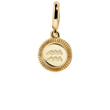 Zodiac Cluster Charm - Aquarius