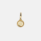 Zodiac Cluster Charm - Aquarius