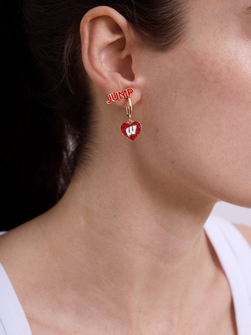 University of Wisconsin Earring Set - University of Wisconsin