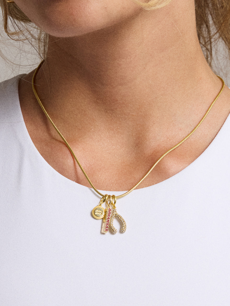 University of Arkansas Cluster Charm - University of Arkansas