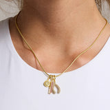 University of Arkansas Cluster Charm - University of Arkansas