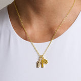 University of Missouri Cluster Charm - University of Missouri