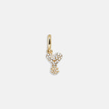 Pavé Bubble Initial Cluster Charm  - Y