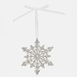 Snow & Behold Snowflake Ornament - Snowflake