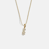 Mini Pavé Script Cluster Custom Nameplate Necklace - 1 Name