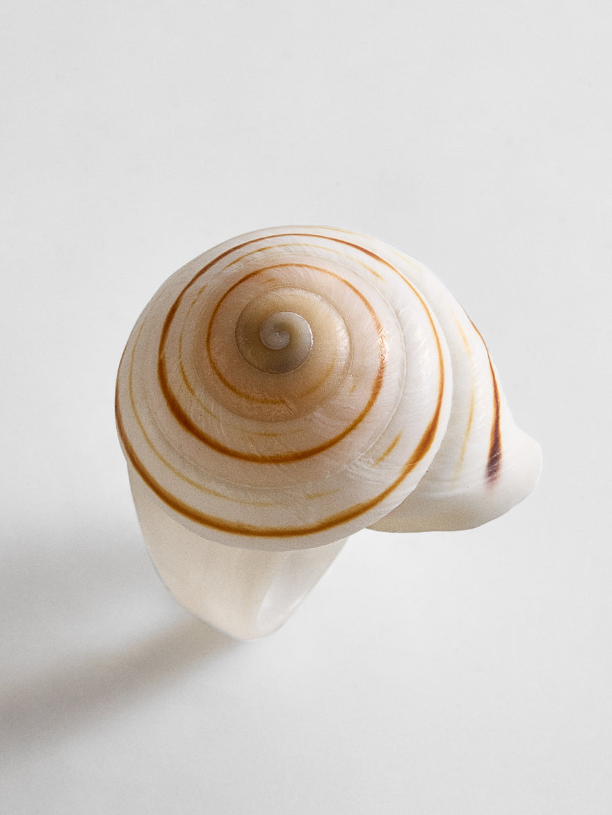 Santana Shell Statement Ring - Natural