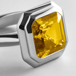 variant:Faceted Square