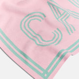 Your Name in Stripes Custom Blanket - Light Pink/Mint