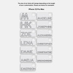 variant:iPhone 12 Pro Max
