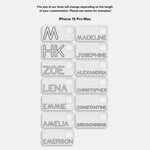 variant:iPhone 13 Pro Max