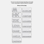 variant:iPhone 13 Pro Max