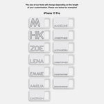 variant:iPhone 17 Pro