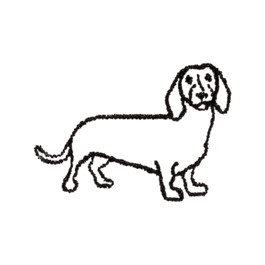 Daschund Icon