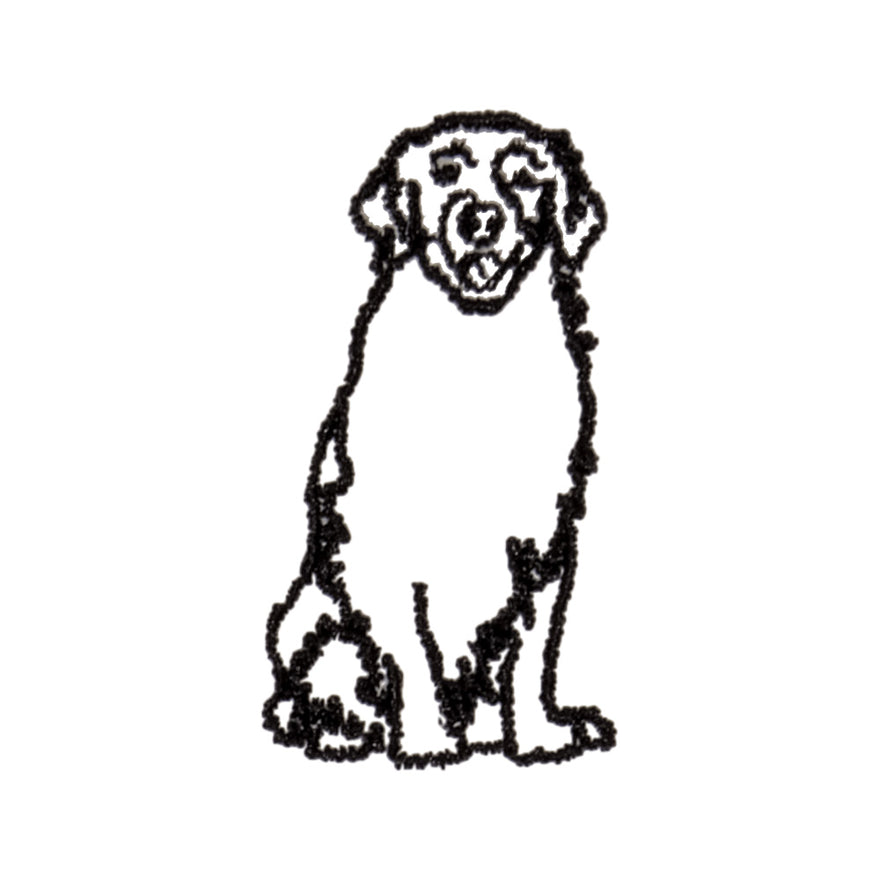 Golden Retreiver Icon