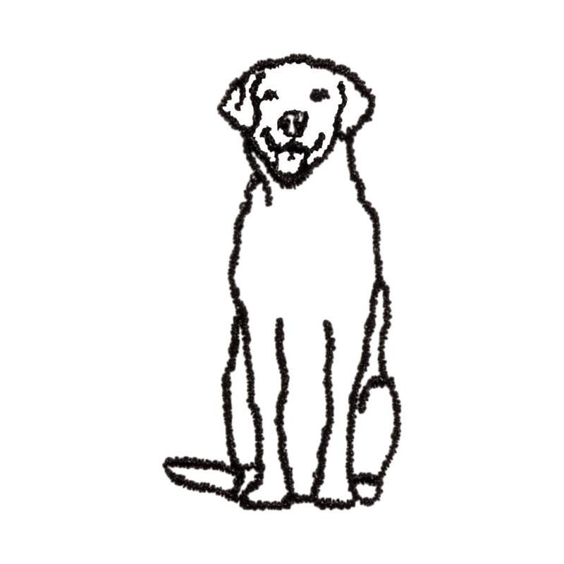 Labrador Icon