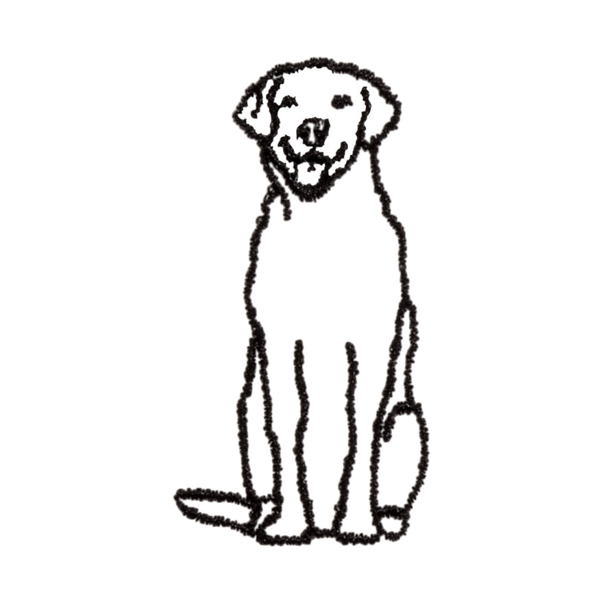 Labrador Icon