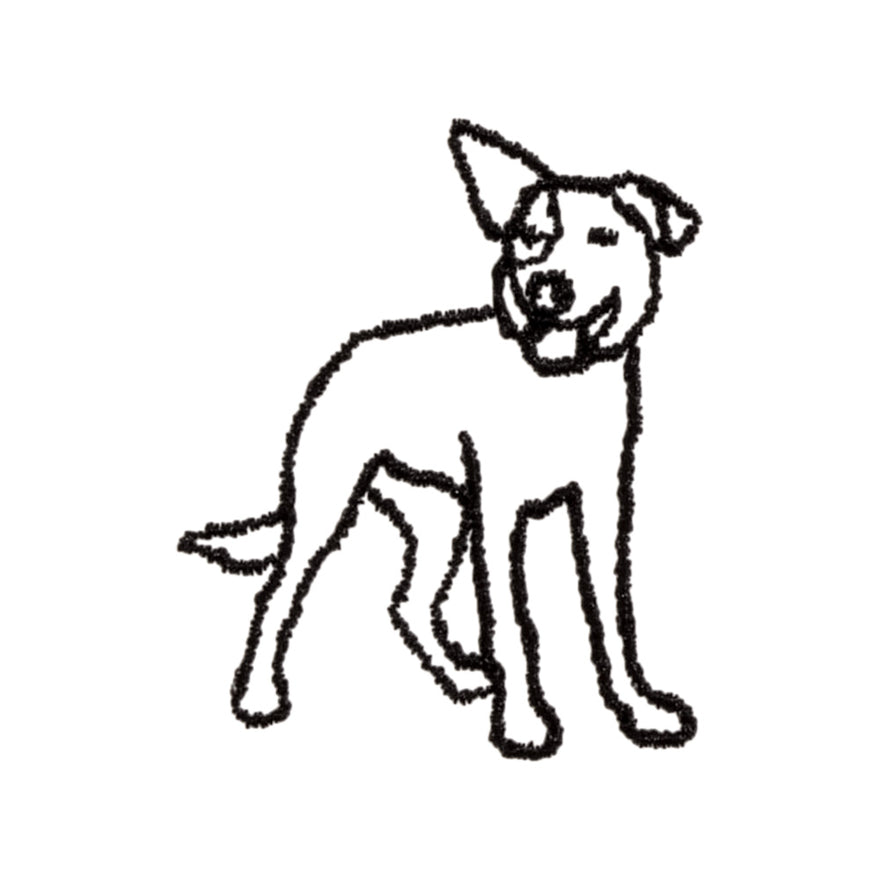 Mixed Breed Dog Icon