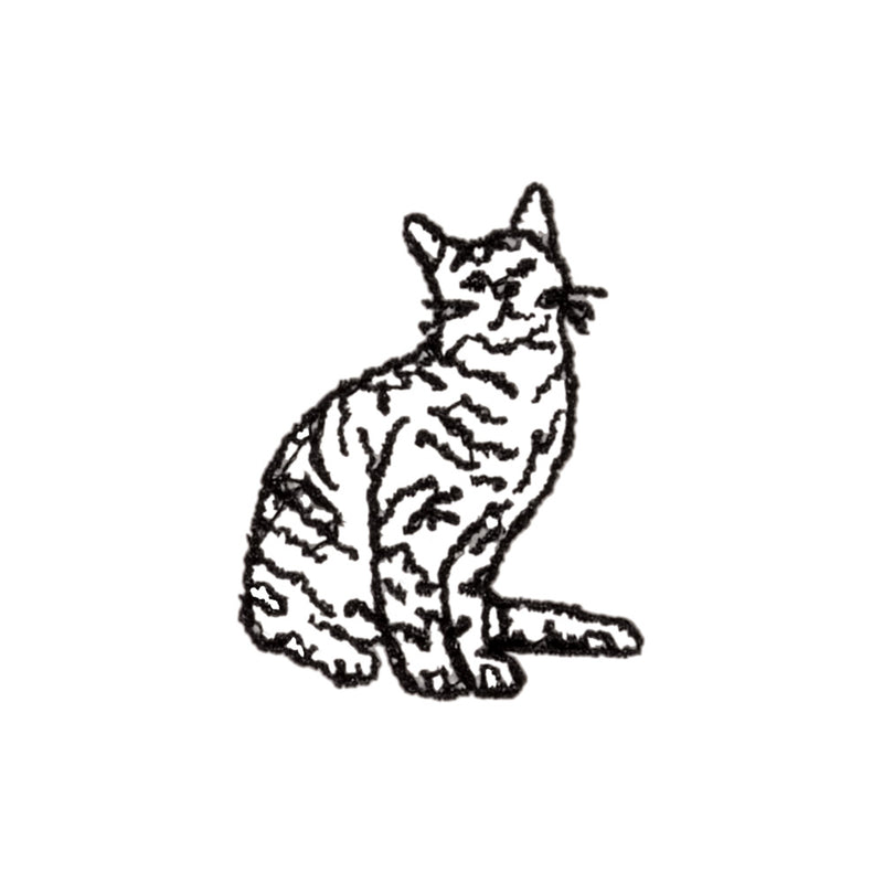 Tabby Cat Icon