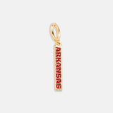 University of Arkansas Cluster Charm - University of Arkansas