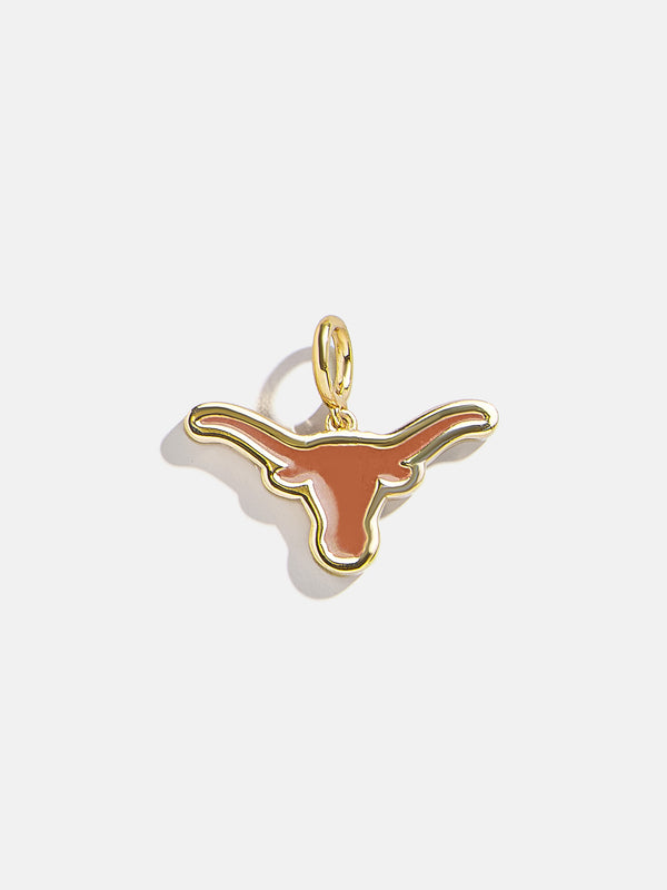 University of Texas at Austin Bevo Cluster Charm - University of Texas at Austin