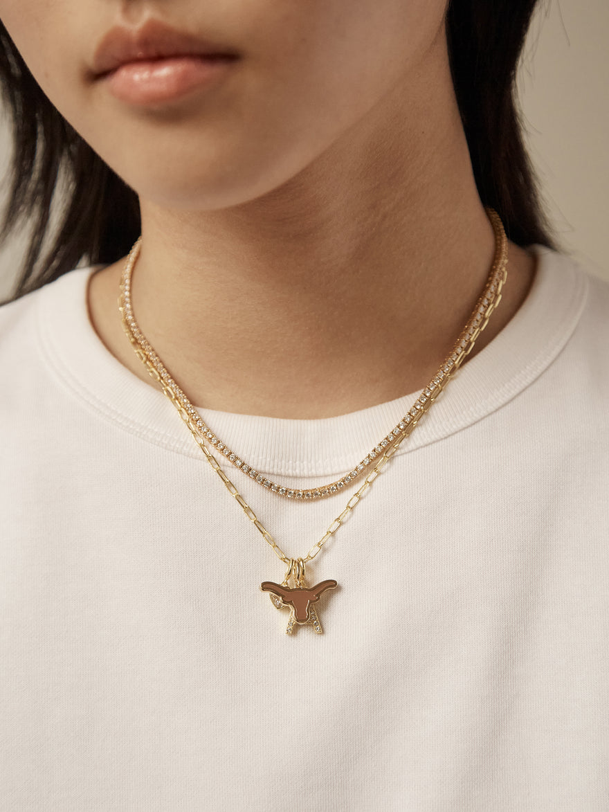 University of Texas at Austin Bevo Cluster Charm - University of Texas at Austin