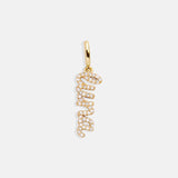 Script Custom Nameplate Charm - Gold/Pavé