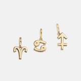 Zodiac Symbol Cluster Charm - Aries