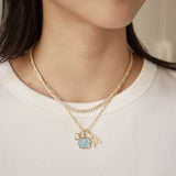 University of North Carolina Cluster Charm - University of North Carolina