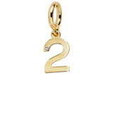 Gold Number Cluster Charm - 2