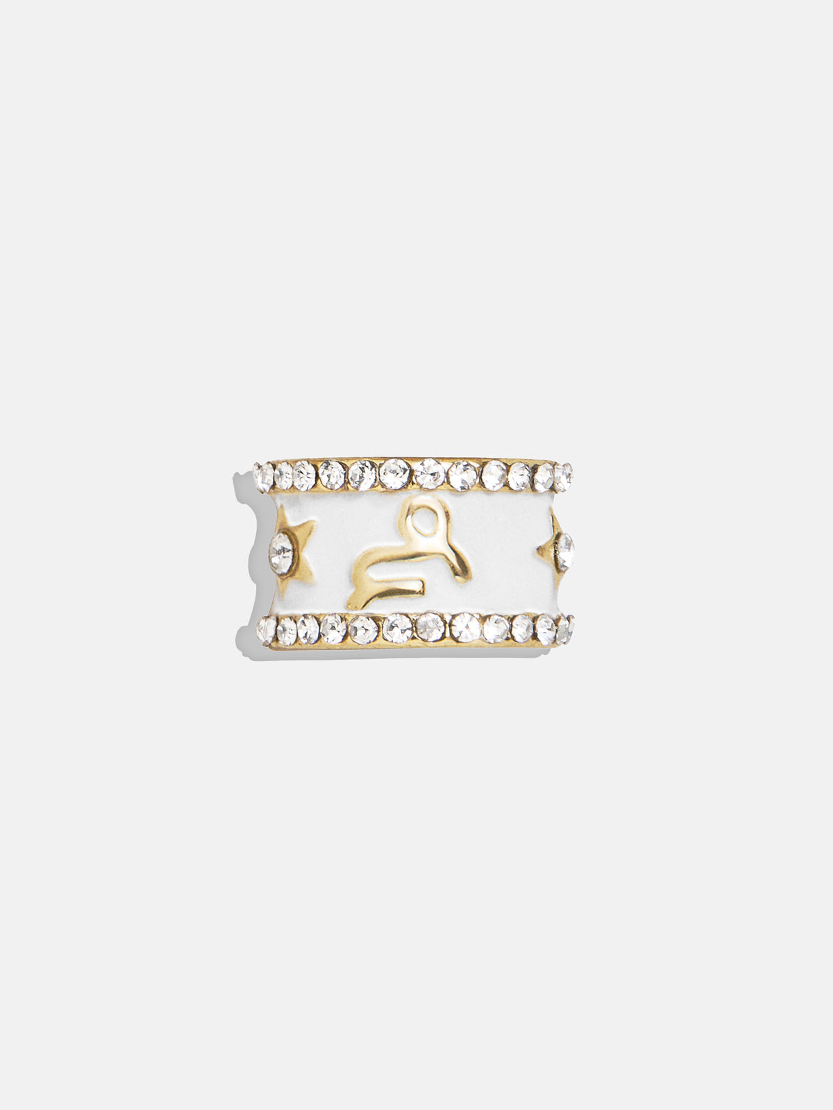 Zodiac 360 Spinner Charm - Capricorn