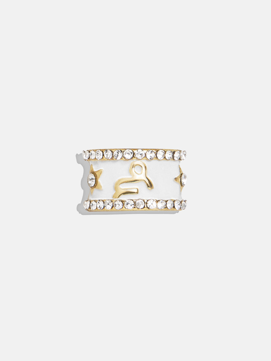Zodiac 360 Spinner Charm - Capricorn
