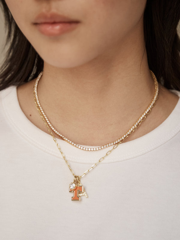 University of Tennessee Cluster Charm - University of Tennessee