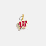 University of Wisconsin Cluster Charm - University of Wisconsin