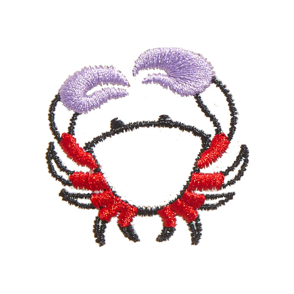 Cancer Icon