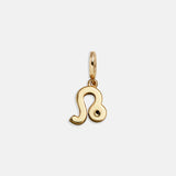 Zodiac Symbol Cluster Charm - Leo